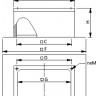 SF230A_scale5c.jpg