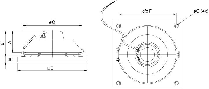 TFSK 125 M Black.jpg