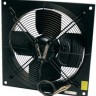 fans-photo-dhs190p7.jpg