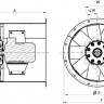 AXC-EX-rgm.jpg