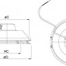 TFSR 315.jpg